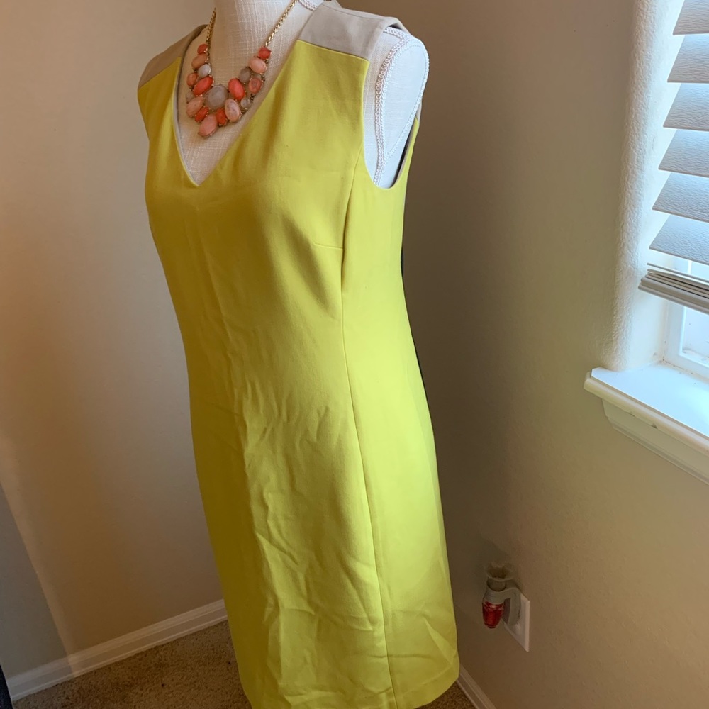 Ann Taylor dress size 10 sleeveless lined dress.